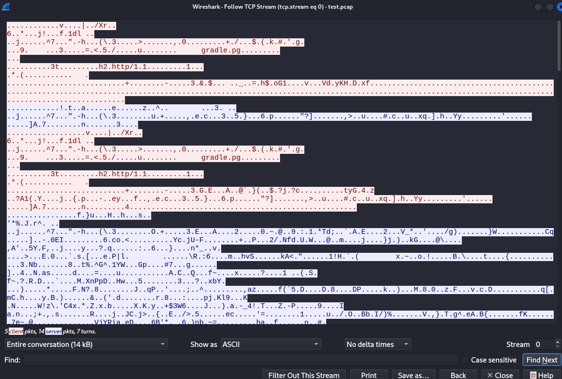 wireshark2